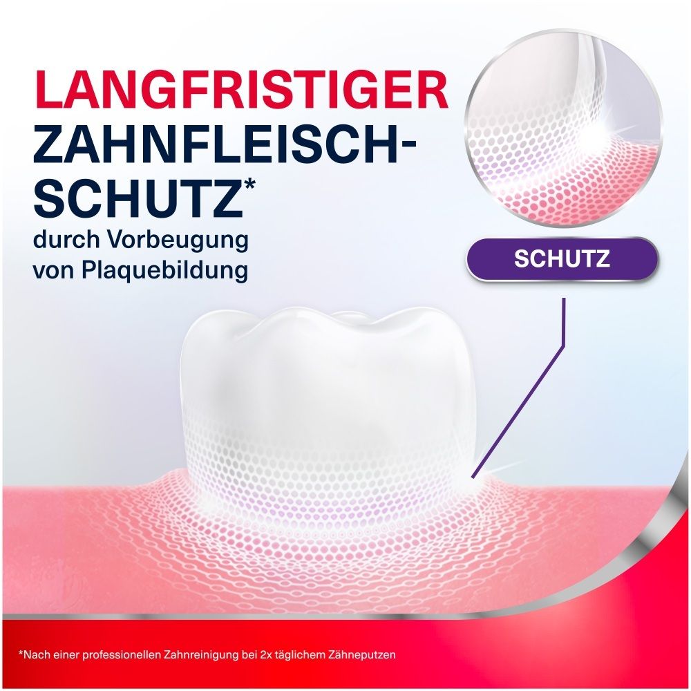 Darstellung von Zahnschutz durch Vorbeugung von Plaquebildung, mit Fokus auf ein Zahnmodell.