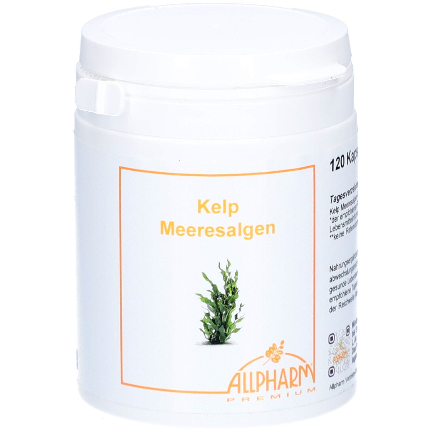 Weiße Dose mit orangefarbenem Etikett. Aufschrift: Kelp Meeresalgen, Allpharm Premium. 120 Kapseln.