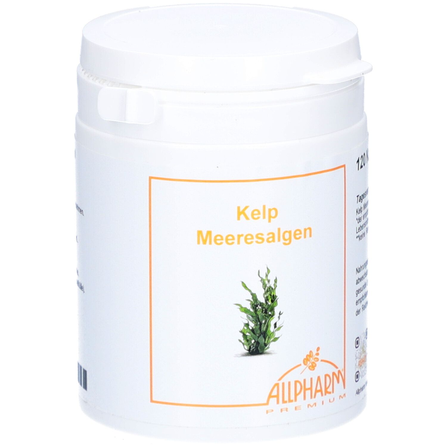 Weiße Dose mit orangefarbenem Etikett. Aufschrift: Kelp Meeresalgen, Allpharm Premium. 120 Kapseln.