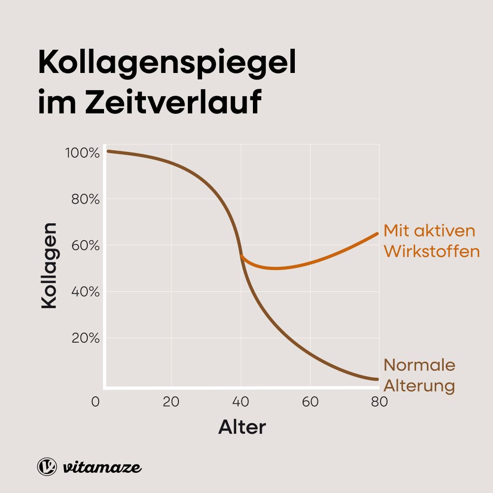Diagramm: Kollagenspiegel im Zeitverlauf. Normale Alterung vs. aktive Wirkstoffe. Marke Vitamaze.