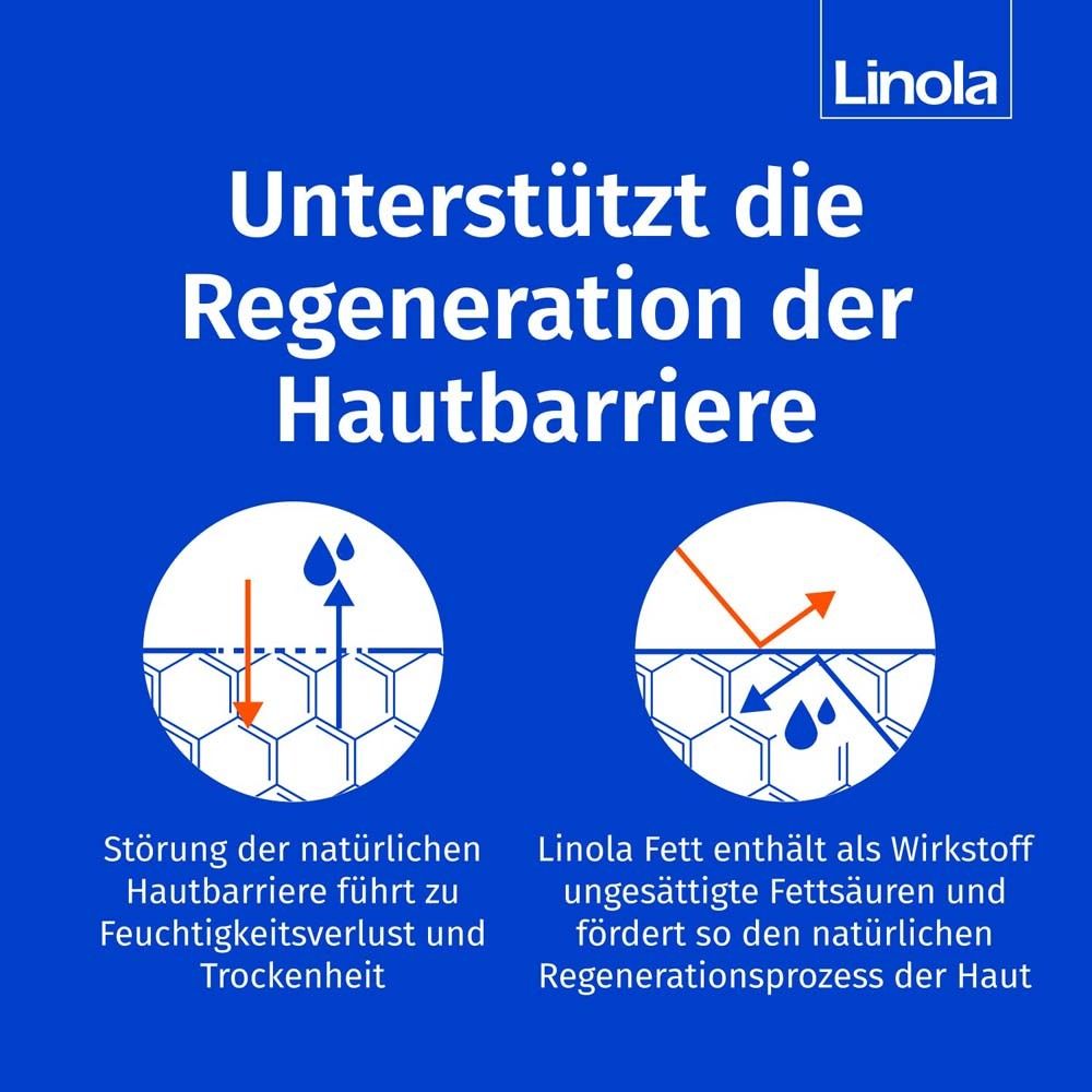 Grafik: Hautschichten. Text: Unterstützt die Regeneration der Hautbarriere. Störung der Hautbarriere führt zu Trockenheit.