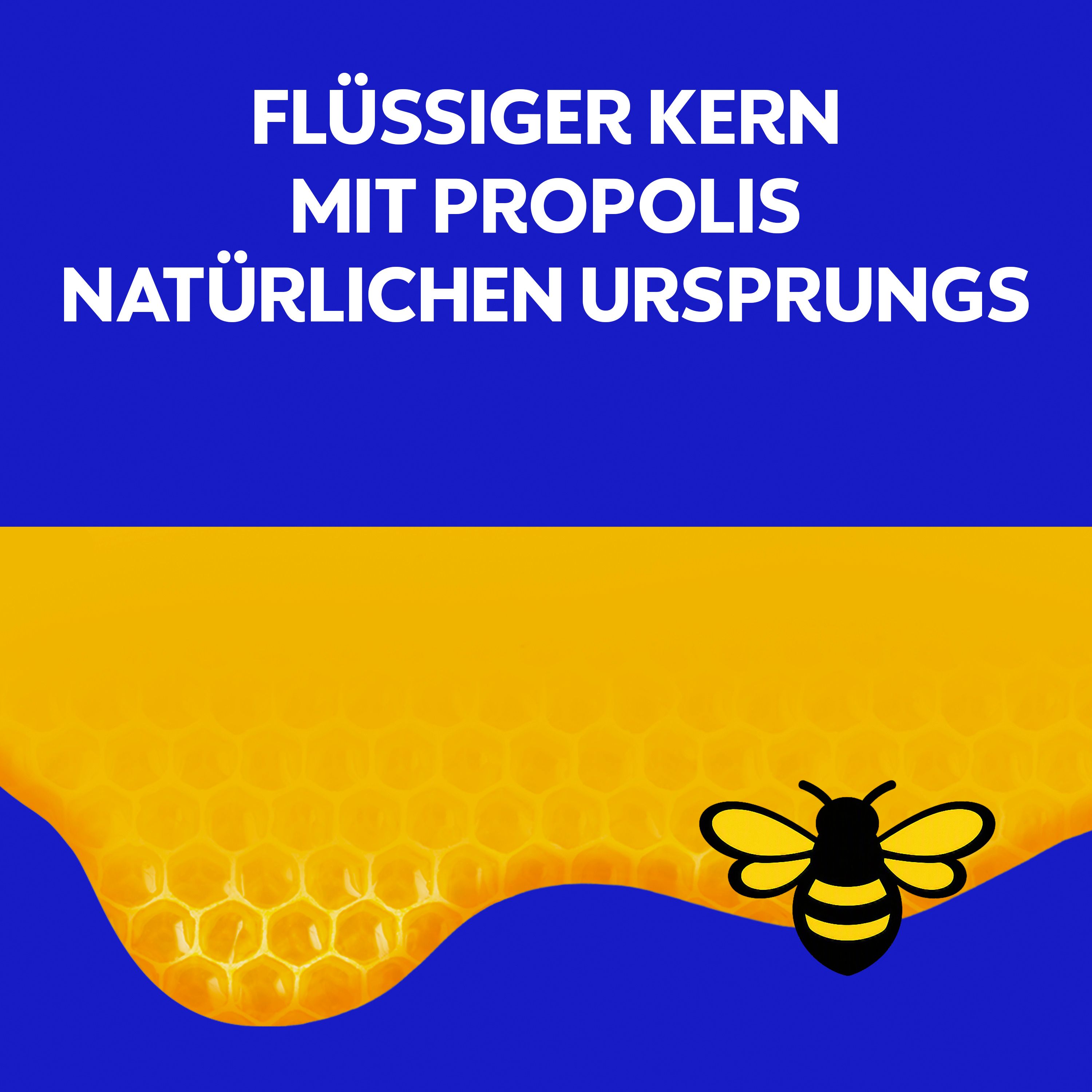 Nahaufnahme von Bienenwaben mit einem Tropfen Honig und einer Biene. Text: Mit Propolis natürlichen Ursprungs.