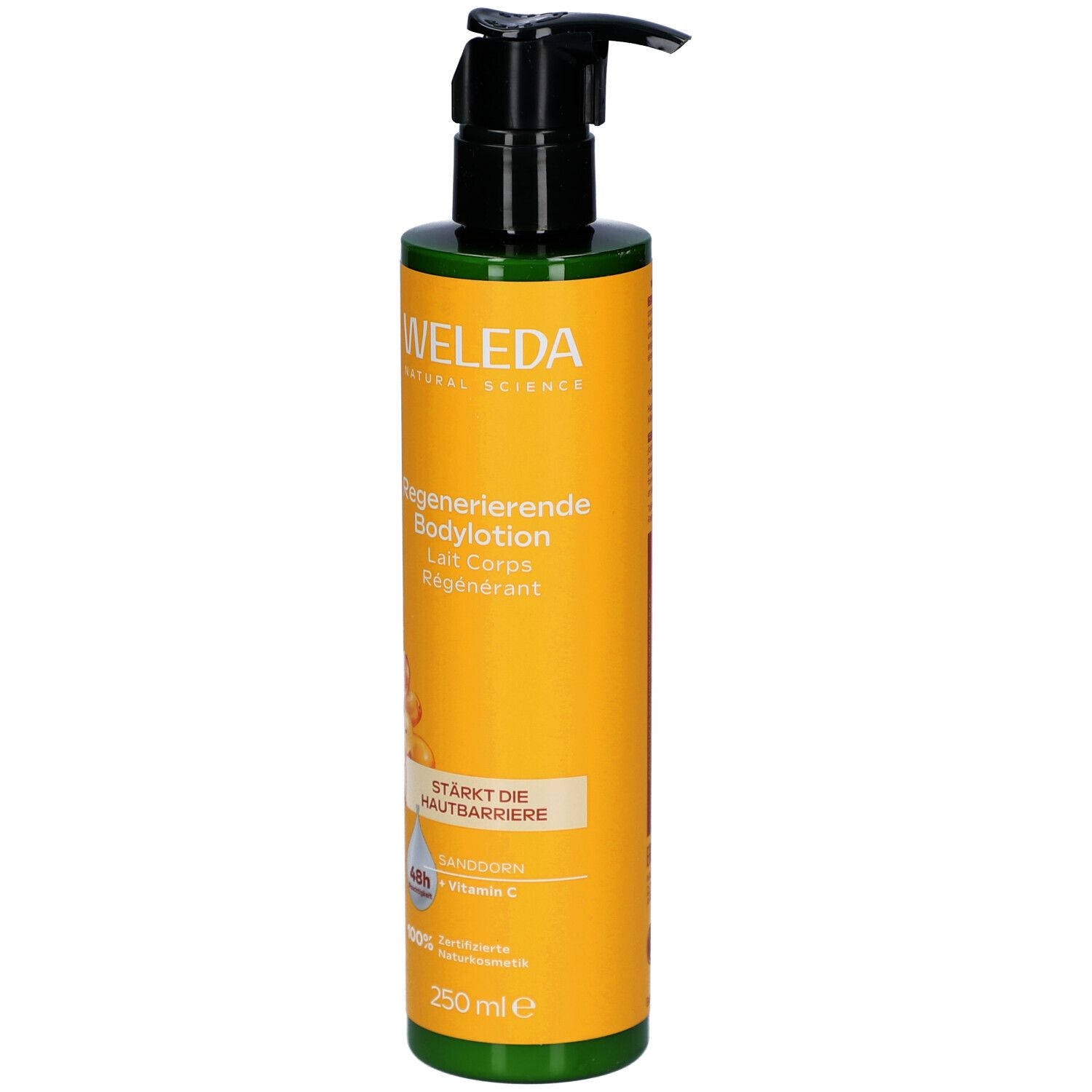 Gelbe Flasche mit schwarzem Pumpkopf. Aufschrift: WELEDA, Regenerierende Bodylotion. Enthält Sanddorn und Vitamin C. 250 ml.