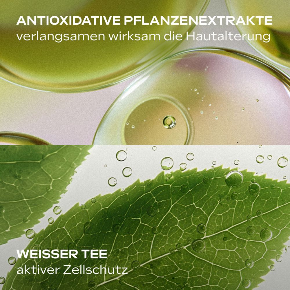 Nahaufnahme von Blättern und Flüssigkeit. Text: Antioxidative Pflanzenextrakte verlangsamen Hautalterung. Weißer Tee, aktiver Zellschutz.