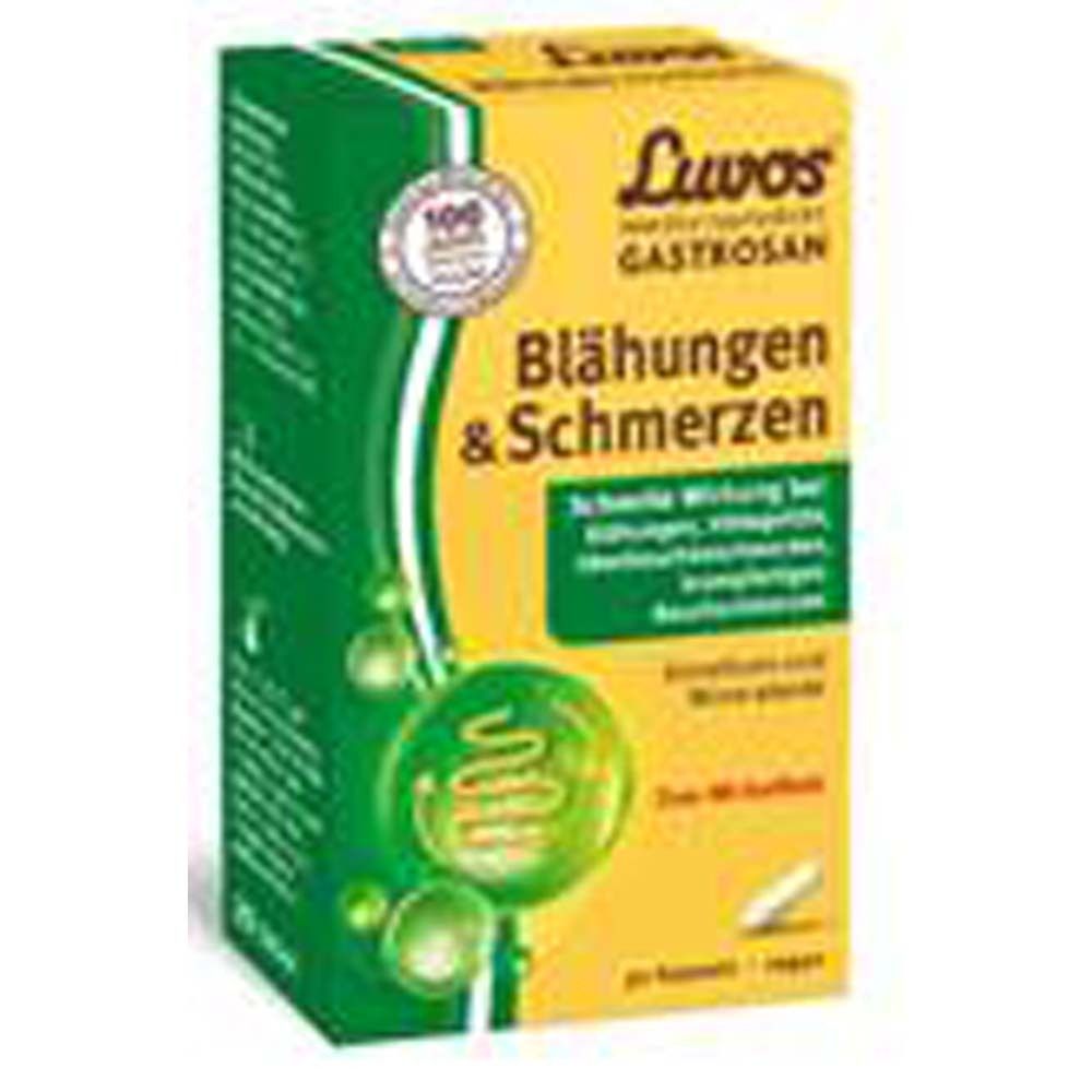 Gelb-grüne Schachtel mit Produktnamen Luvos Gastrosan. Schriftzug Blähungen & Schmerzen. Logo mit 100-Jahre-Zertifizierung.