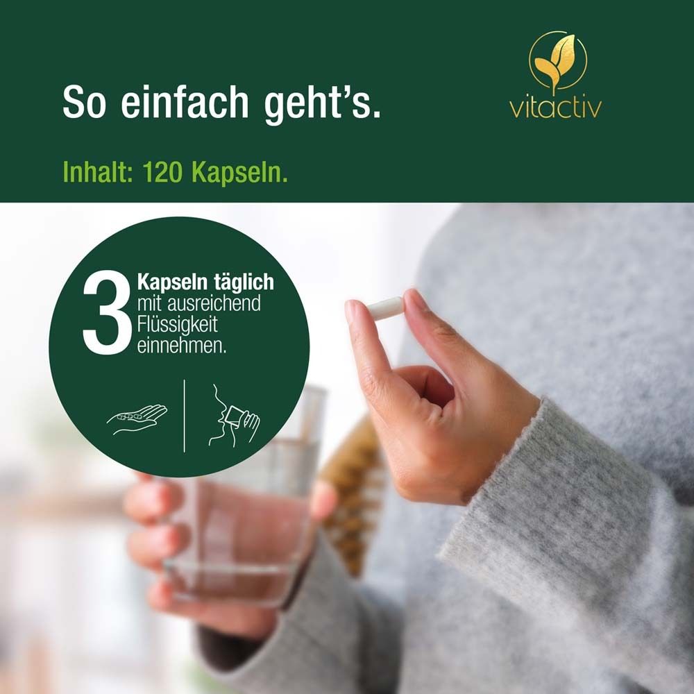 Person hält eine Kapsel. Text: 3 Kapseln täglich mit ausreichend Flüssigkeit einnehmen. vitactiv Logo.