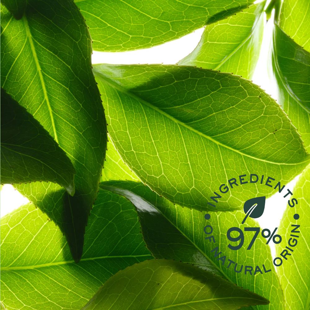 Gros plan sur des feuilles vertes. Texte : 97% ingrédients naturels.
