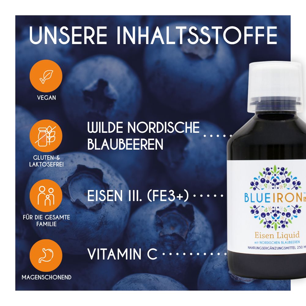 Blueiron Eisen Liquid mit nordischen Blaubeeren