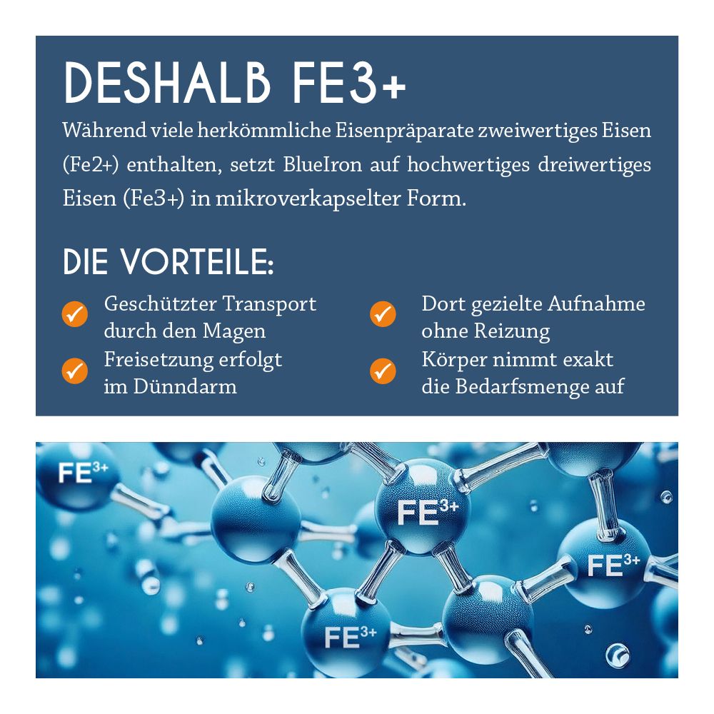Blueiron Eisen Liquid mit nordischen Blaubeeren