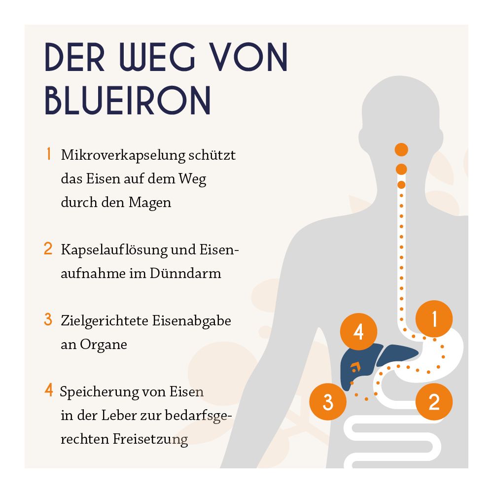 Blueiron Eisen Liquid mit nordischen Blaubeeren