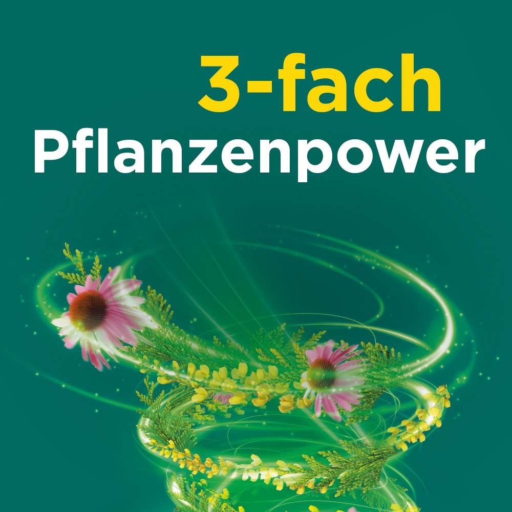 Text auf grünem Hintergrund: 3-fach Pflanzenpower. Abbildung von Blumen und Blättern.