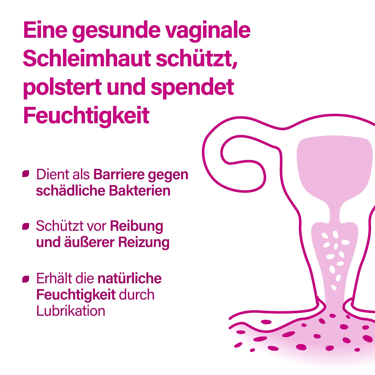Grafik: Eine gesunde vaginale Schleimhaut schützt, polstert und spendet Feuchtigkeit. Barriere, Schutz, etc.