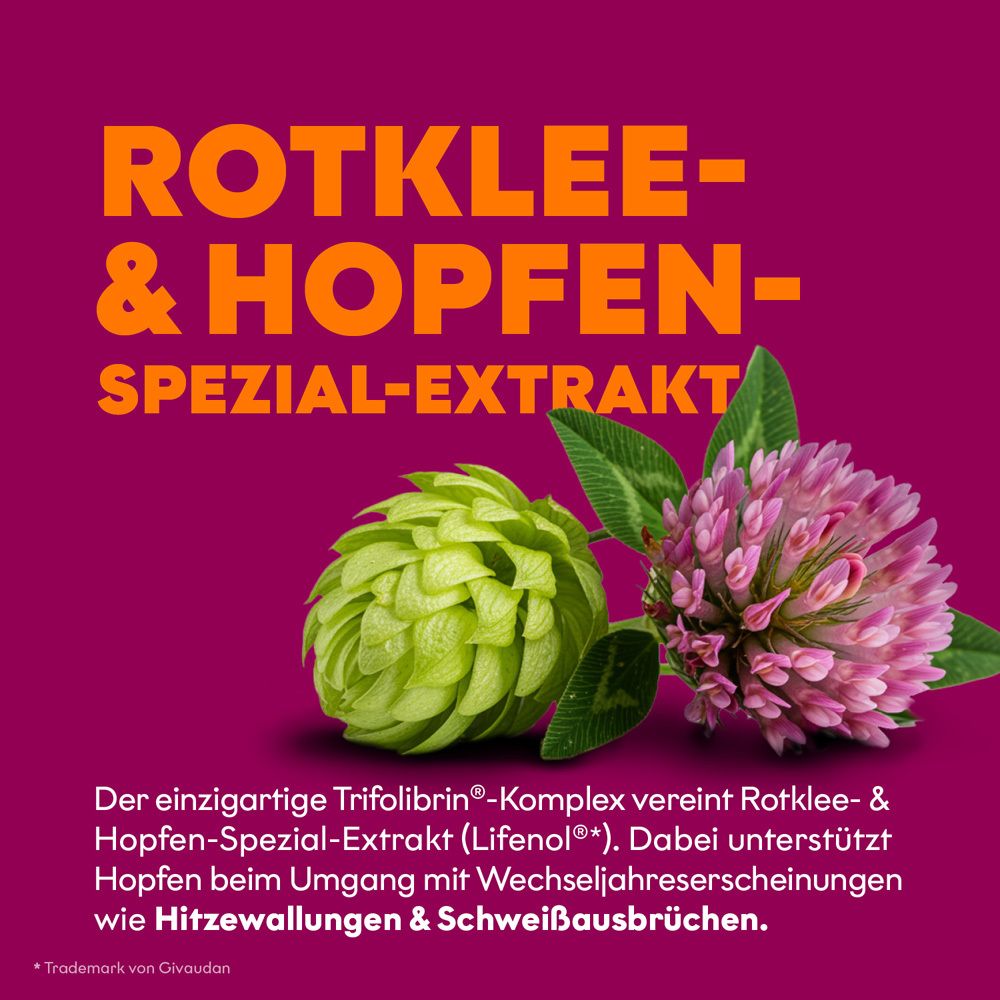 Abbildung von Rotklee und Hopfen, Schlüsselkomponenten des EUNOVA MENOPAUSE MENTAL AKTIV Extrakts.