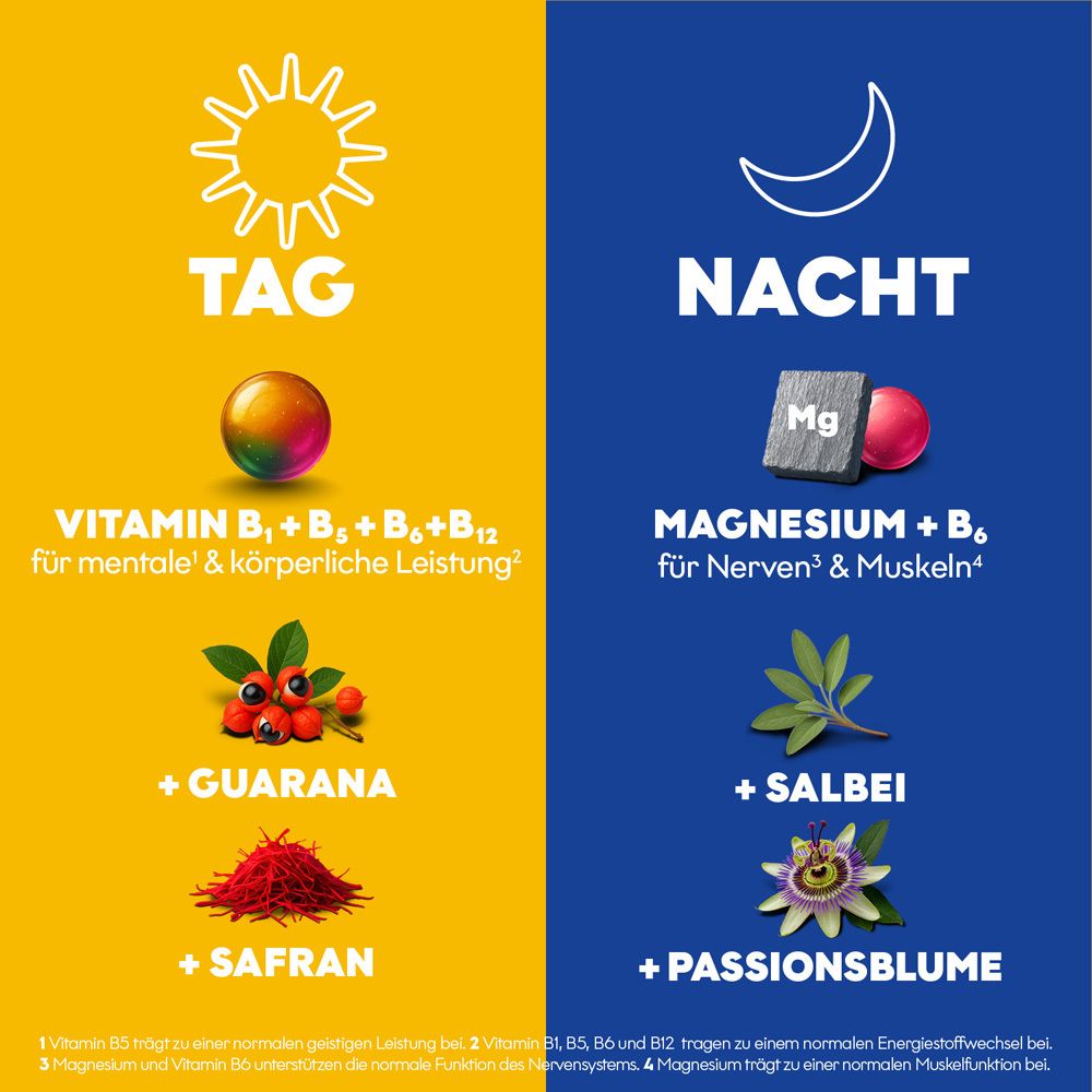 Grafische Darstellung der Inhaltsstoffe für Tag (Vitamine, Guarana, Safran) und Nacht (Magnesium, Salbei, Passionsblume).