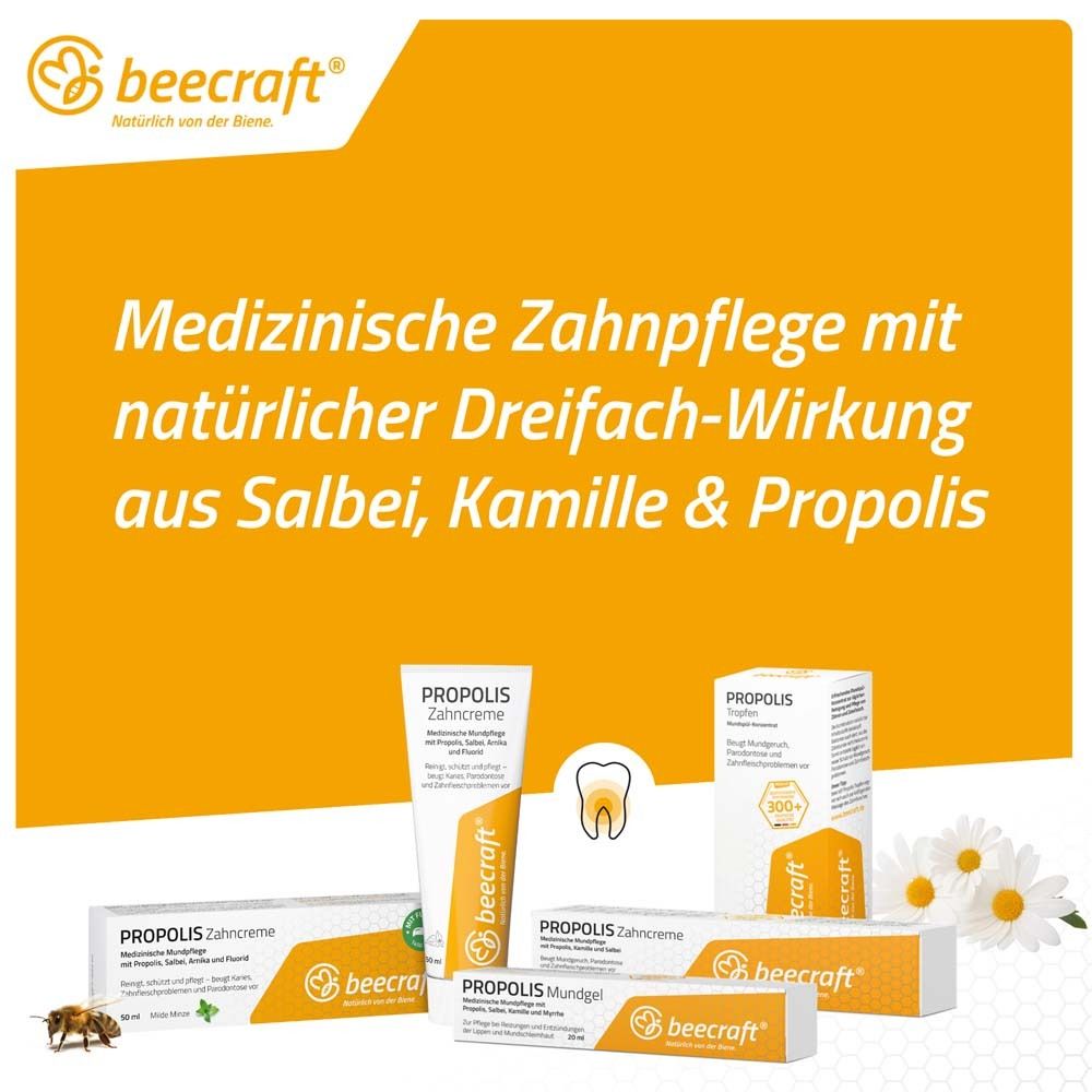Verschiedene Produkte. Gelber Hintergrund. Text: Medizinische Zahnpflege mit natürlicher Dreifach-Wirkung. beecraft Logo.