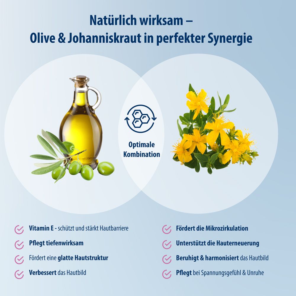 Infografik: Oliven und Johanniskraut. Optimale Kombination. Vorteile für die Haut.