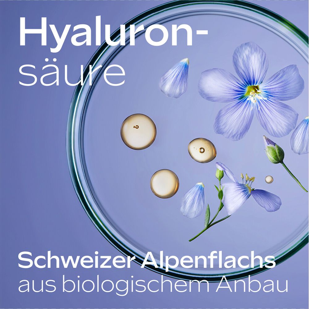 Nahaufnahme von Hyaluronsäure und Alpen-Lein. In einer Glasplatte. Blaue Blüten und Blütenblätter.