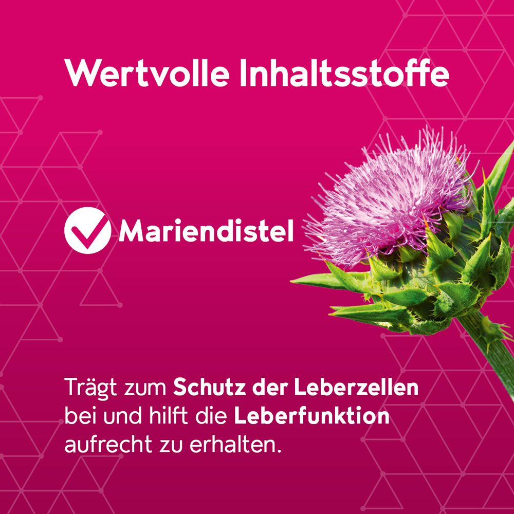 Mariendistel-Blüte mit Text 'Wertvolle Inhaltsstoffe' und 'Mariendistel'.
