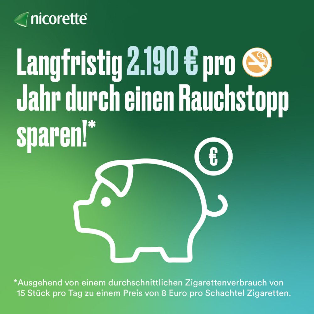 Sparschwein mit Euro-Symbol. Text: Langfristig 2.190 € pro Jahr durch einen Rauchstopp sparen!