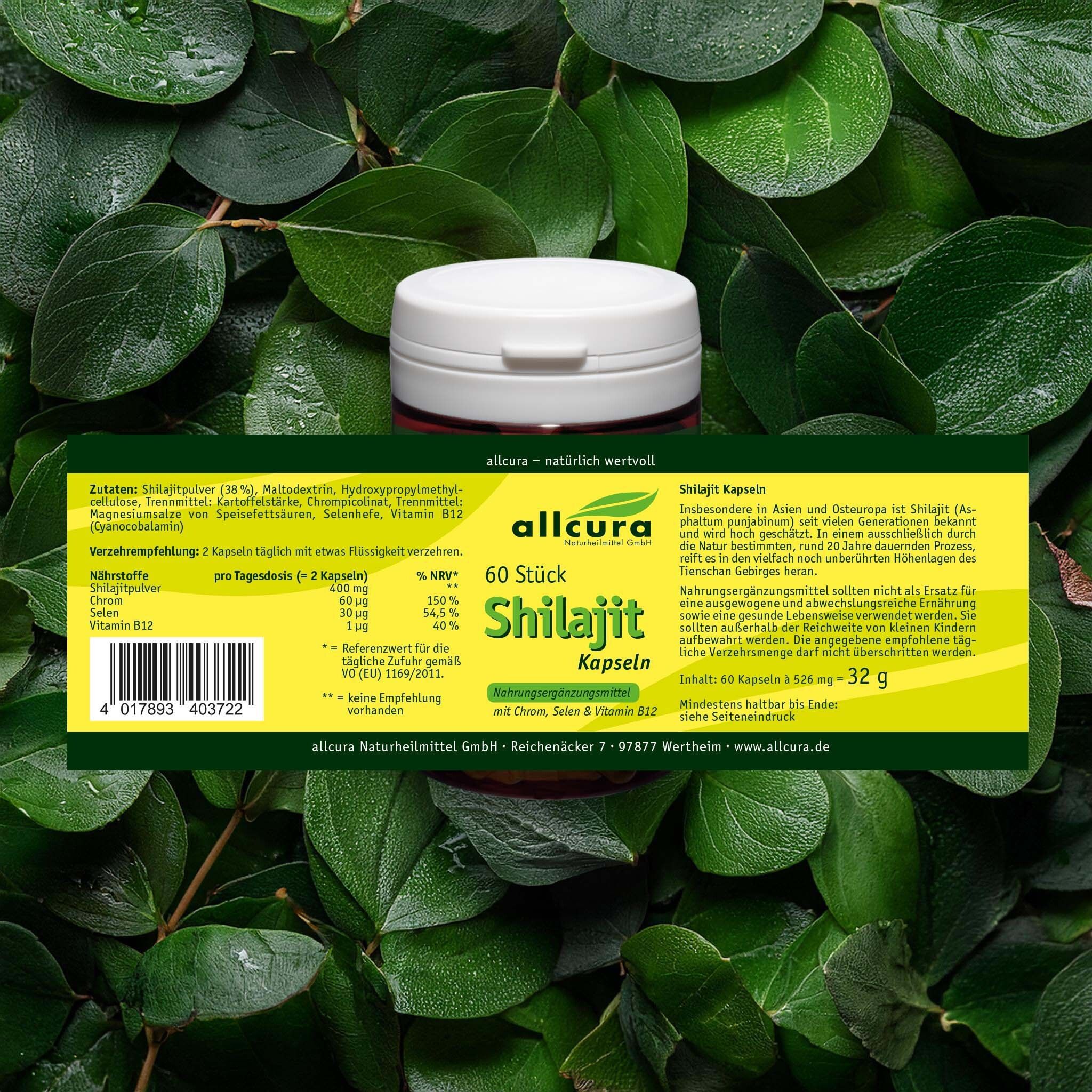 Rückseite der Pillendose mit gelbem Etikett, umgeben von grünen Blättern. Text: allcura Shilajit Kapseln, 60 Stück.