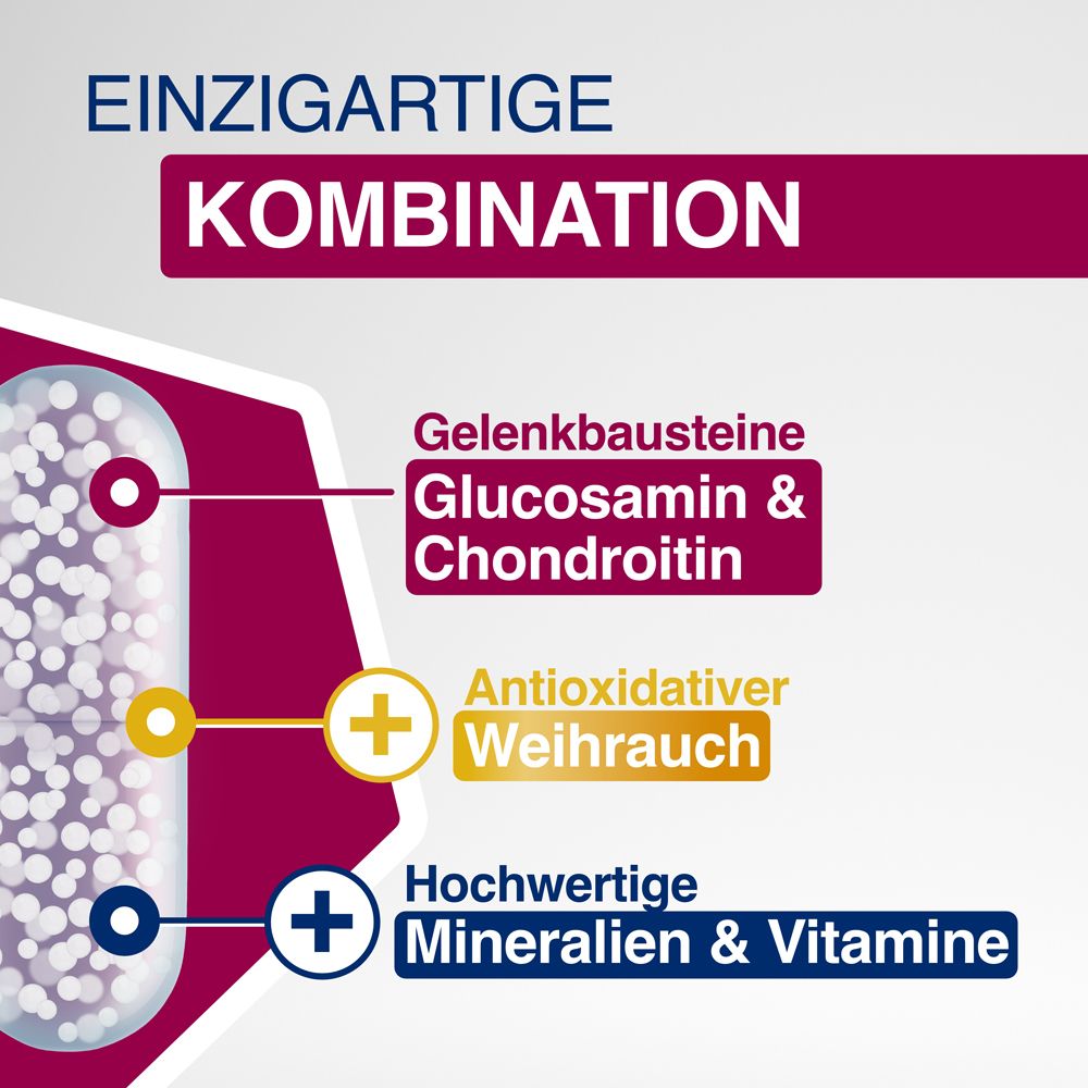 Kapsel mit Inhaltsstoffen: Glucosamin & Chondroitin, Antioxidantien, Mineralien & Vitamine. Grafik.