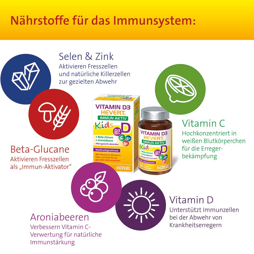 Grafik zu Vitamin D3 Hevert Immun Aktiv Kids. Zeigt Inhaltsstoffe: Selen, Zink, Beta-Glucane, Vitamin C, Vitamin D, Aroniabeeren.