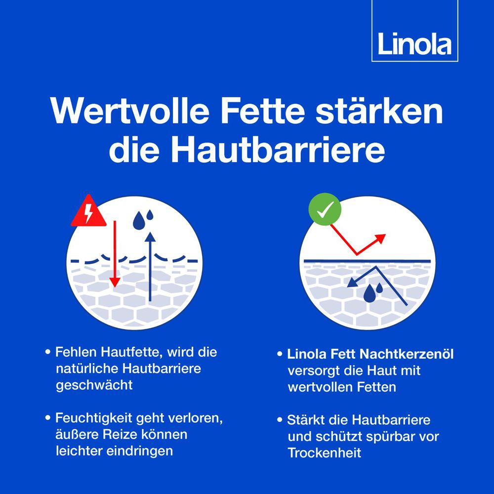 Grafik mit Haut. Text: Wertvolle Fette stärken die Hautbarriere. Linola Fett Nachtkerzenöl.
