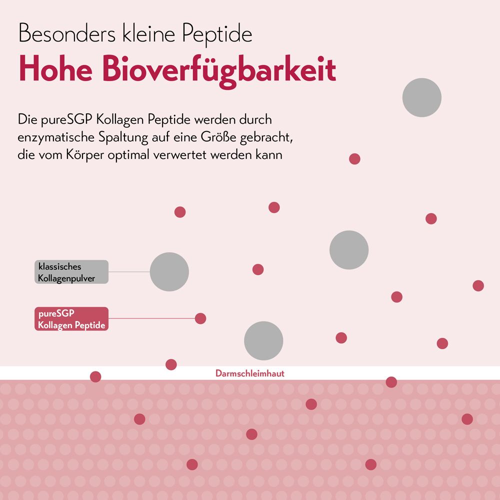 Grafik mit Peptiden. Text: Hohe Bioverfügbarkeit. Klassisches Kollagenpulver und pureSGP Kollagen Peptide.