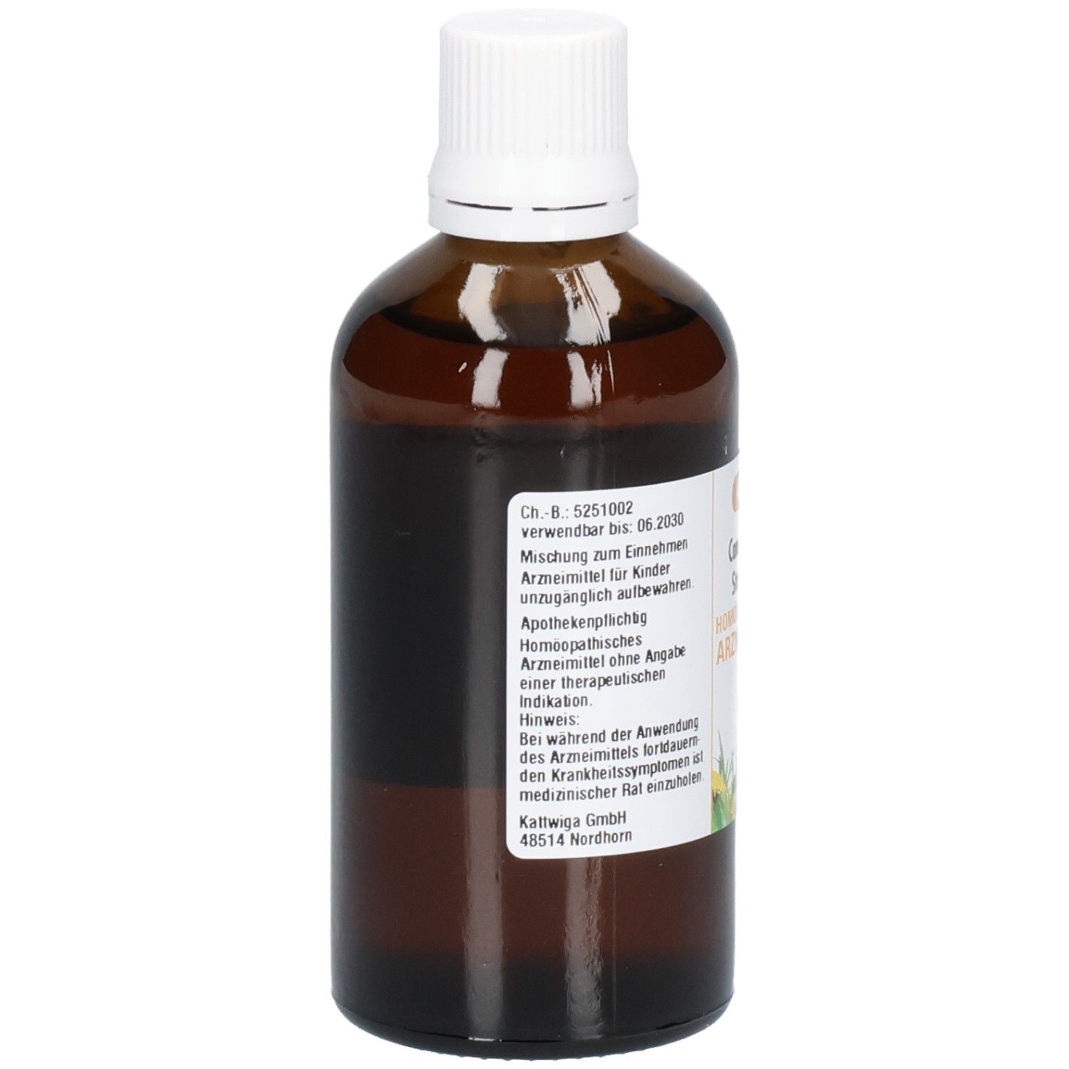 CAMPHORAL-Stroph S Tropfen 100 ml