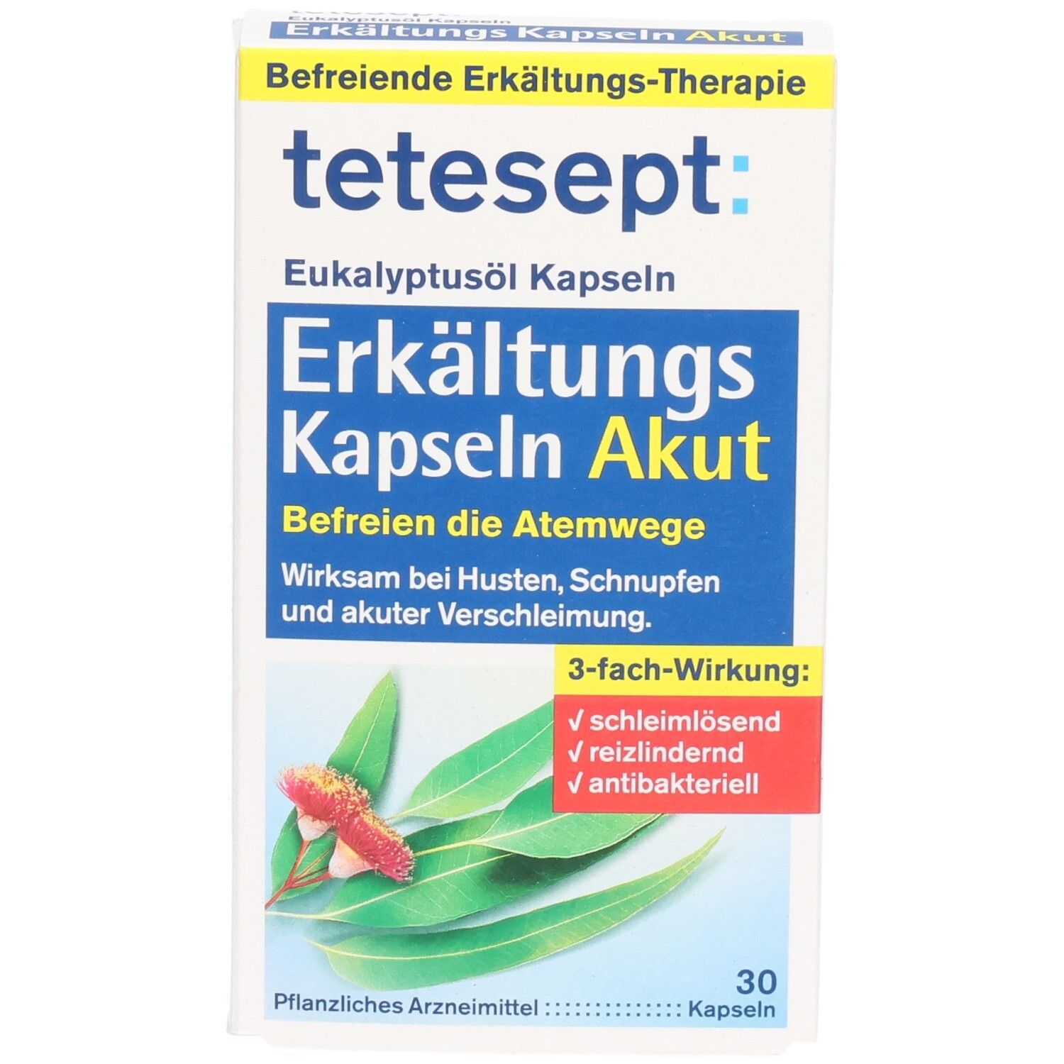 Weiße Schachtel mit "tetesept" und "Eukalyptusöl Erkältungs Kapseln Akut". Enthält 30 Kapseln. Abbildung von Eukalyptusblättern.