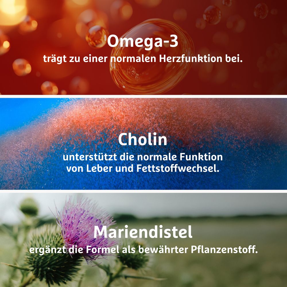 Lagosa Triplex® 3-in-1 mit Omega-3, Cholin & Mariendistel