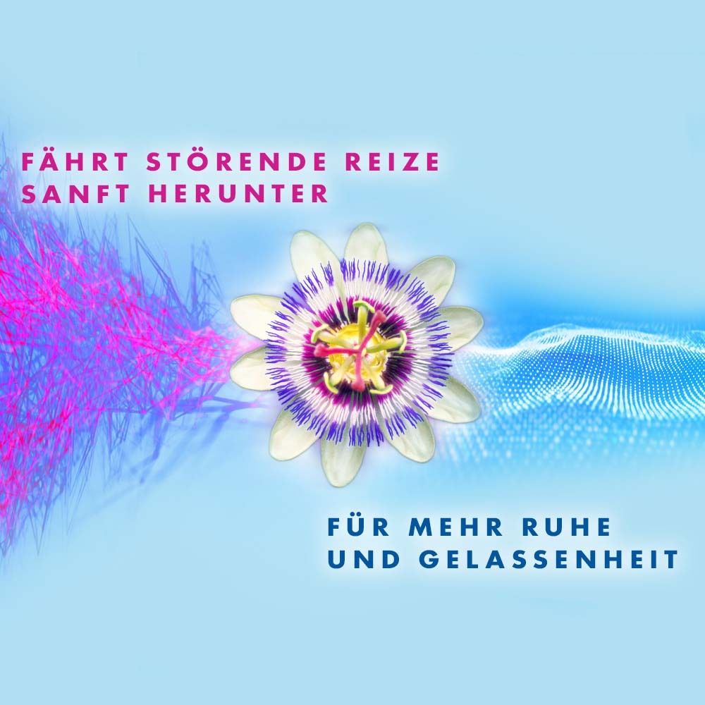 Grafik mit Passionsblume und Linien. Text: Fährt störende Reize sanft herunter. Für mehr Ruhe und Gelassenheit.