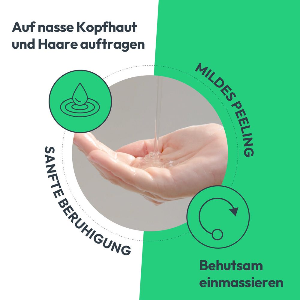 Kreisförmige Grafik. Anwendungshinweise: Auf nasse Kopfhaut und Haare auftragen, sanft beruhigen, mildes Peeling, behutsam einmassieren.
