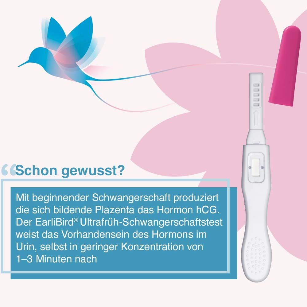 Illustration: Test mit geöffneter Kappe. Text: Hormon hCG im Urin. Test weist Vorhandensein des Hormons nach.