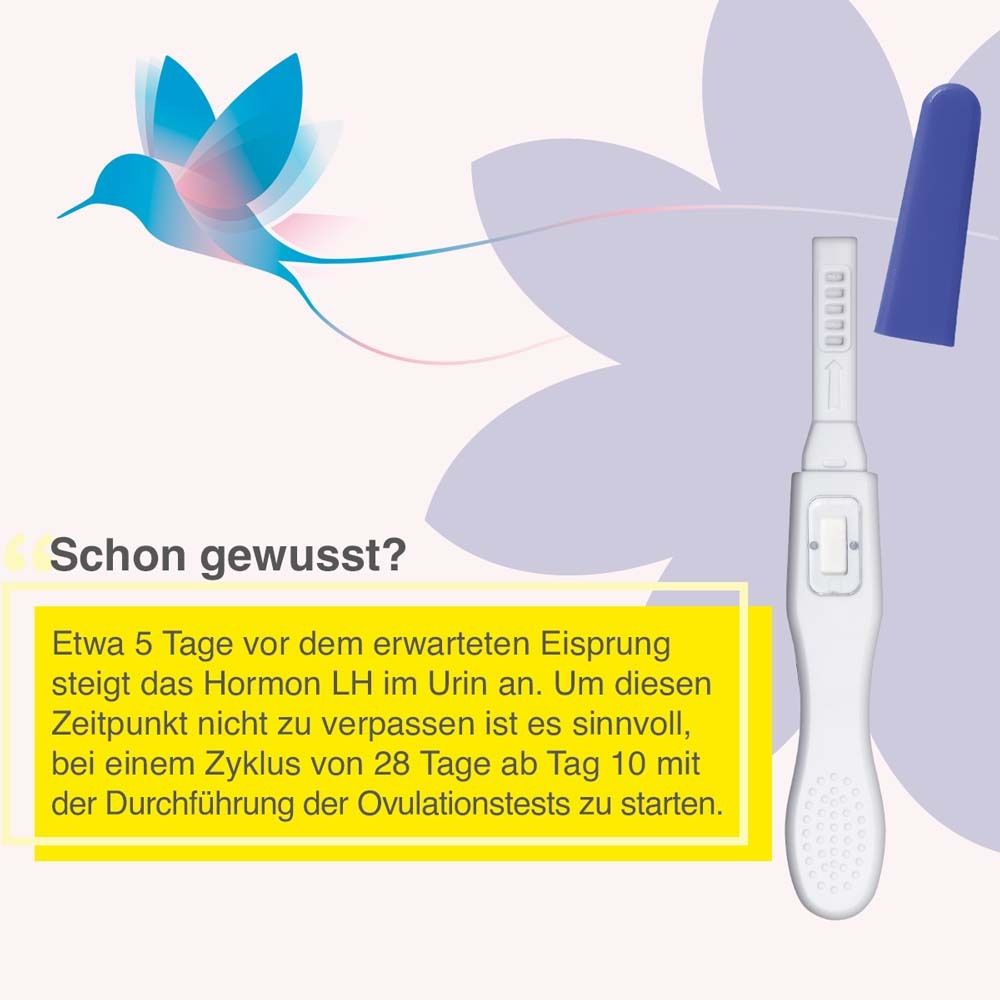 Ovulationstest mit blauem Verschluss und Text. Hintergrund mit floralem Design und Text über den Test.