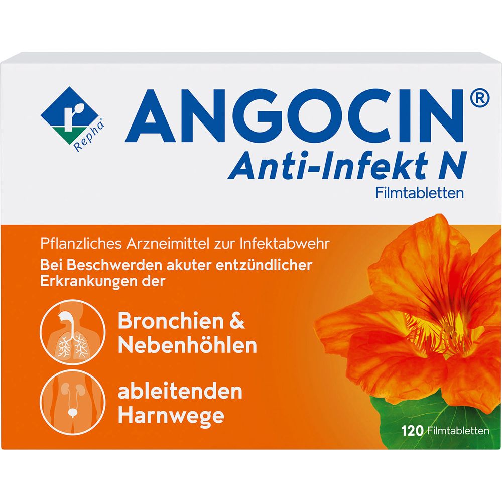 ANGOCIN Anti-Infekt N Filmtabletten Verpackung mit Blüte und Hinweisen zu Bronchien und Harnwegen.