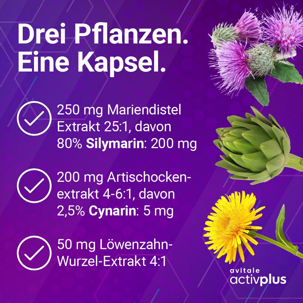 Grafik mit Pflanzen und Text. Mariendistel, Artischocke, Löwenzahn. Text: Drei Pflanzen. Eine Kapsel. Avitale activplus Logo.