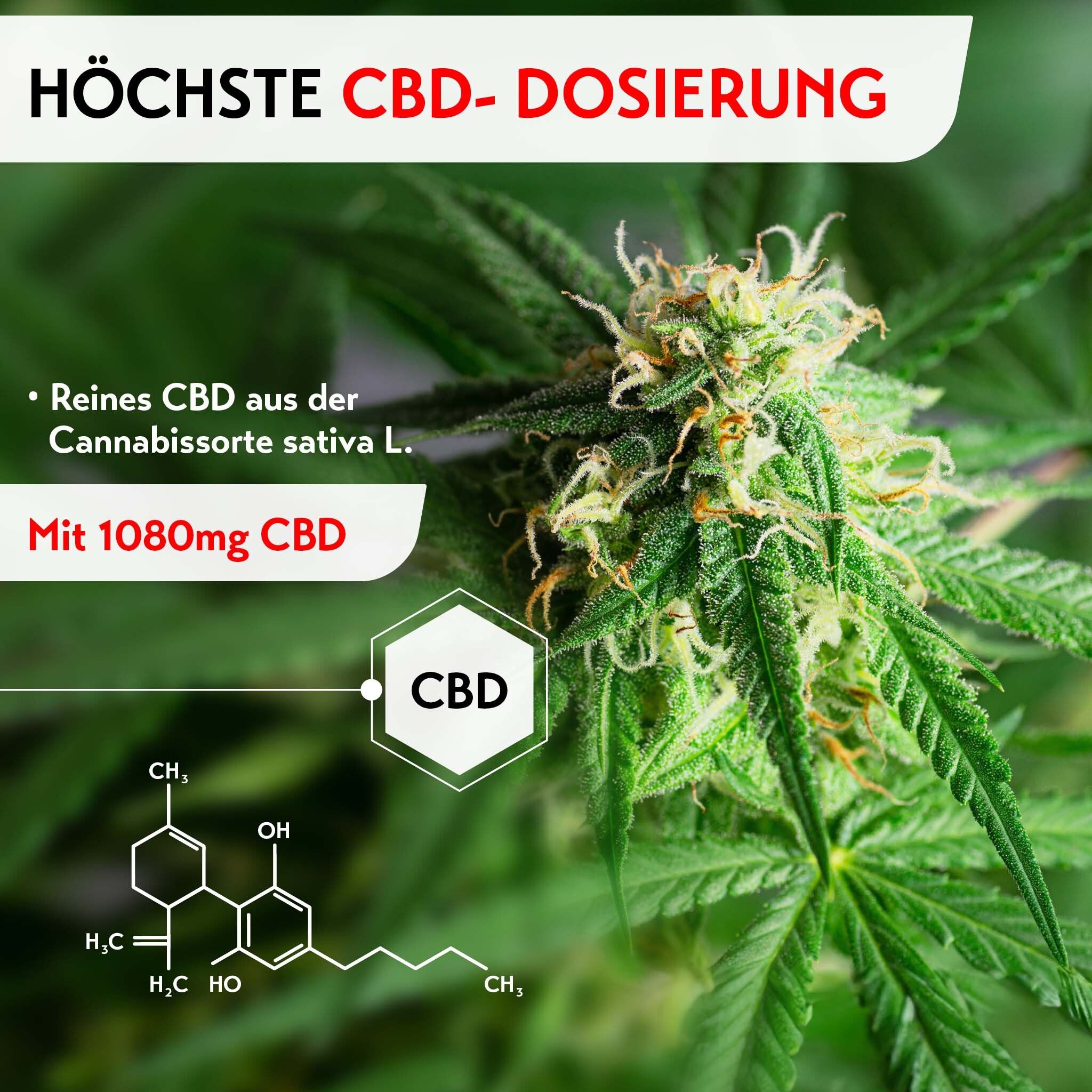 Cannabis-Pflanze mit Blüten. Text: Höchste CBD-Dosierung. 1080mg CBD. Chemische Formel.