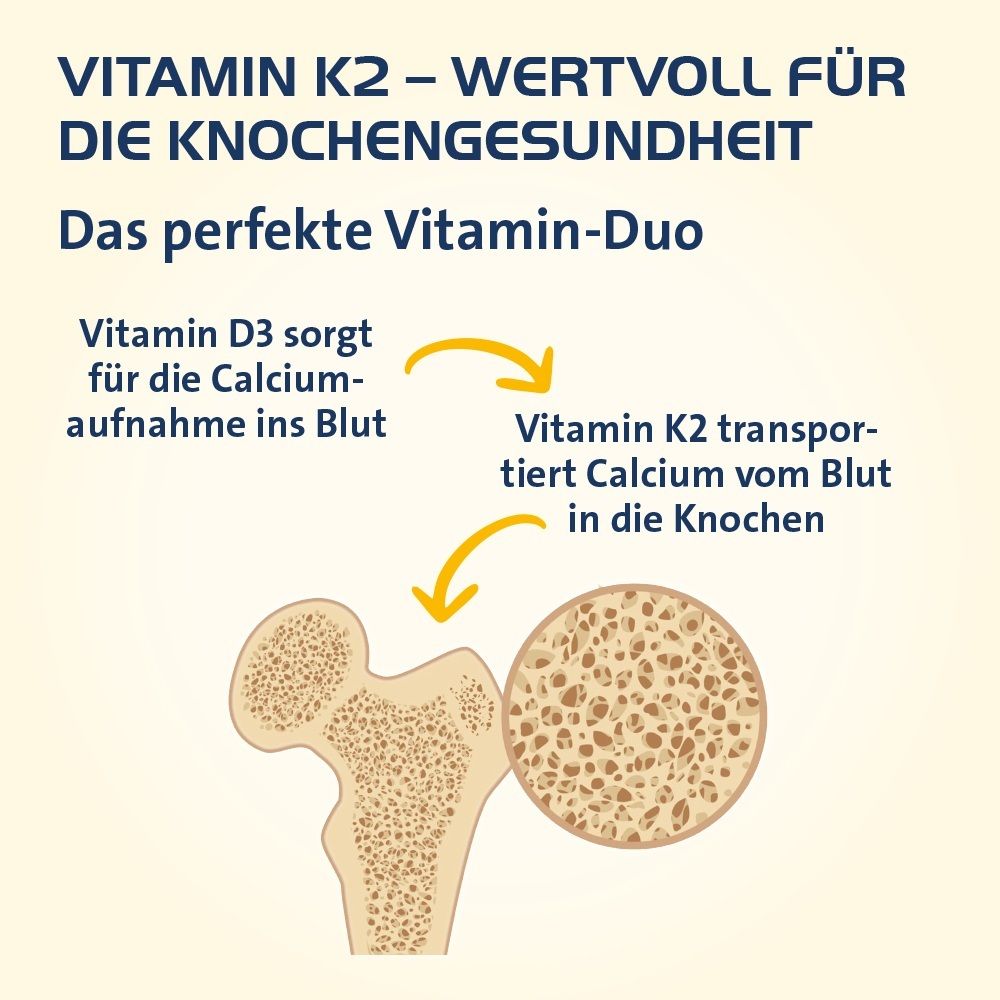 Grafik von Knochen und Vitamin-Duo-Symbolen. Text: Vitamin K2 transportiert Calcium in die Knochen.