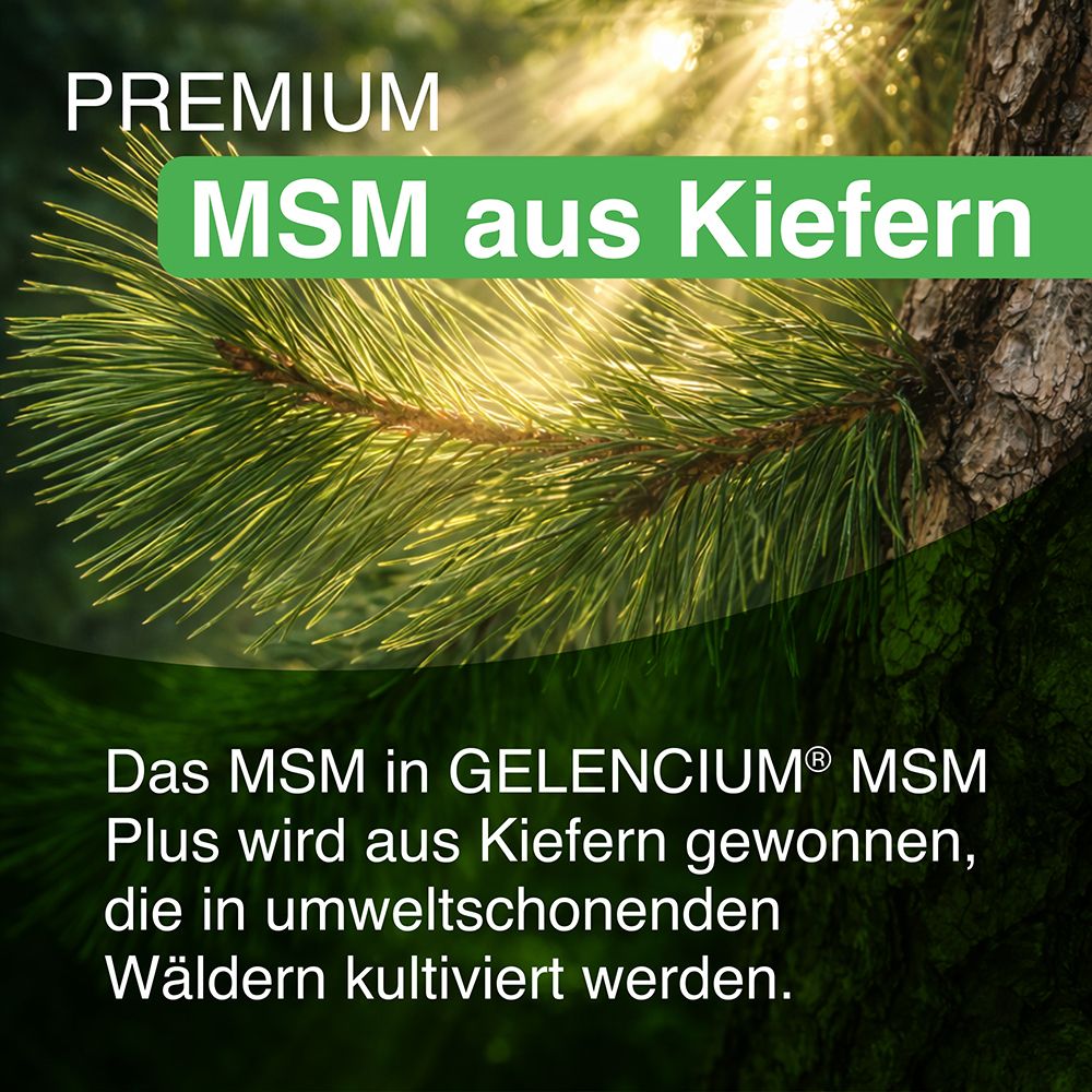 MSM aus Kiefern, gewonnen aus umweltschonend kultivierten Wäldern.