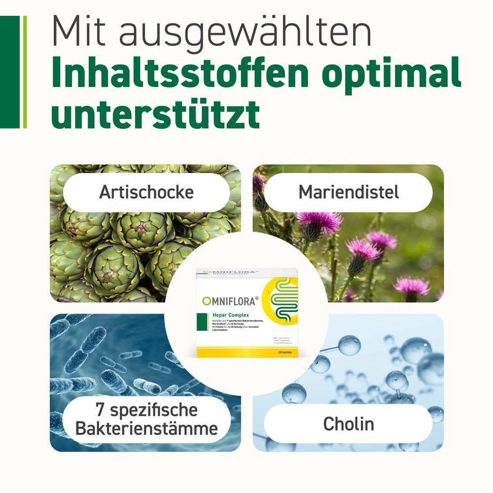 Grafik: Zutaten. Text: Mit ausgewählten Inhaltsstoffen optimal unterstützt. Artischocke, Mariendistel, Cholin, Bakterien.