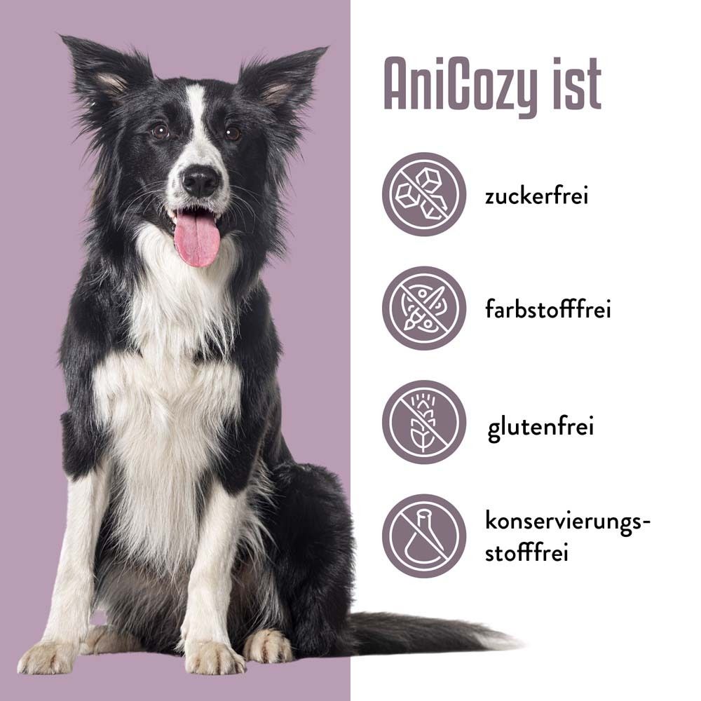 Hund vor lila Hintergrund. Text: AniCozy ist zuckerfrei, farbstofffrei, glutenfrei, konservierungsstofffrei. Logos.
