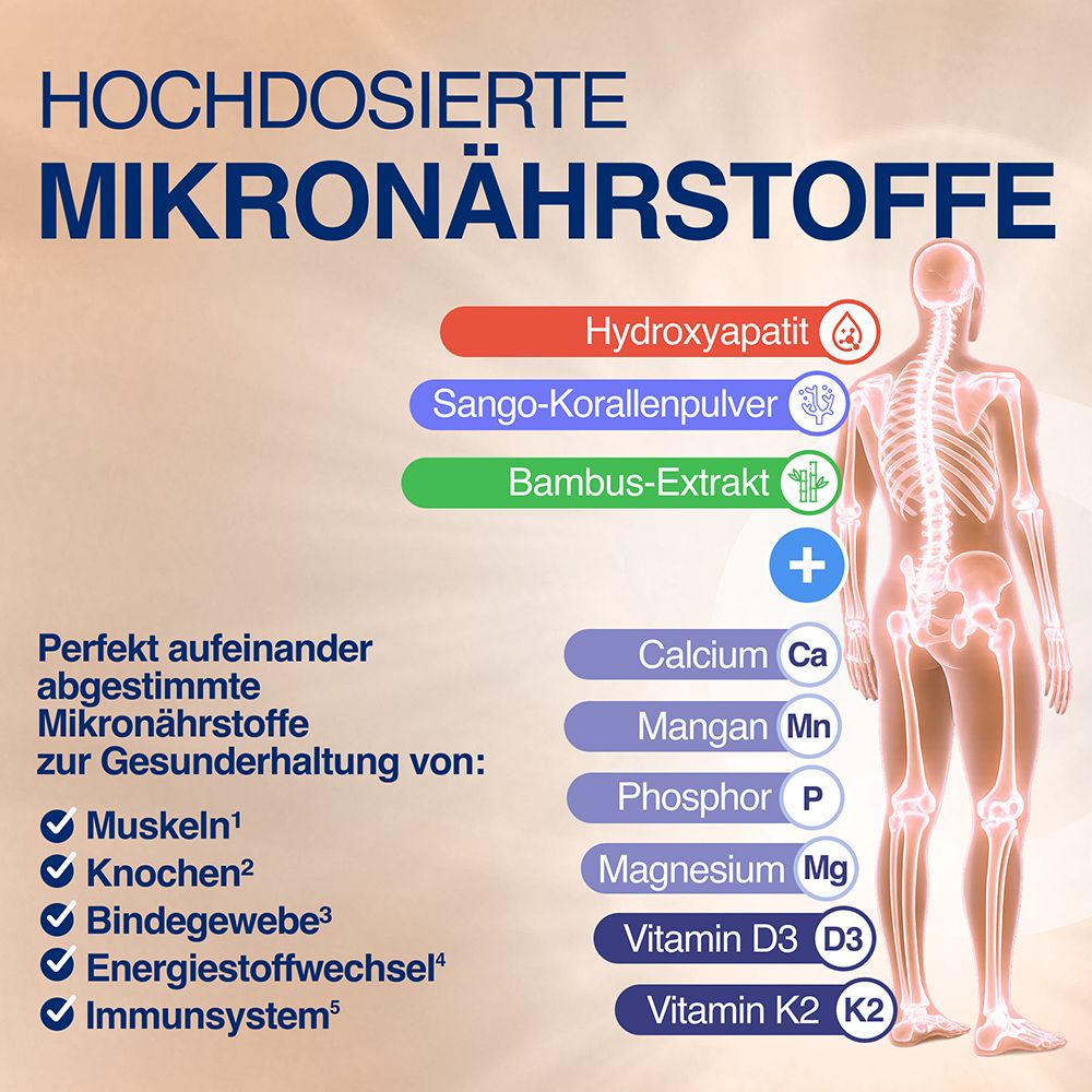 GELENCIUM® Osteo Complex: Mikronährstoffe für Knochen, Muskeln, Bindegewebe, Energiestoffwechsel und Immunsystem.