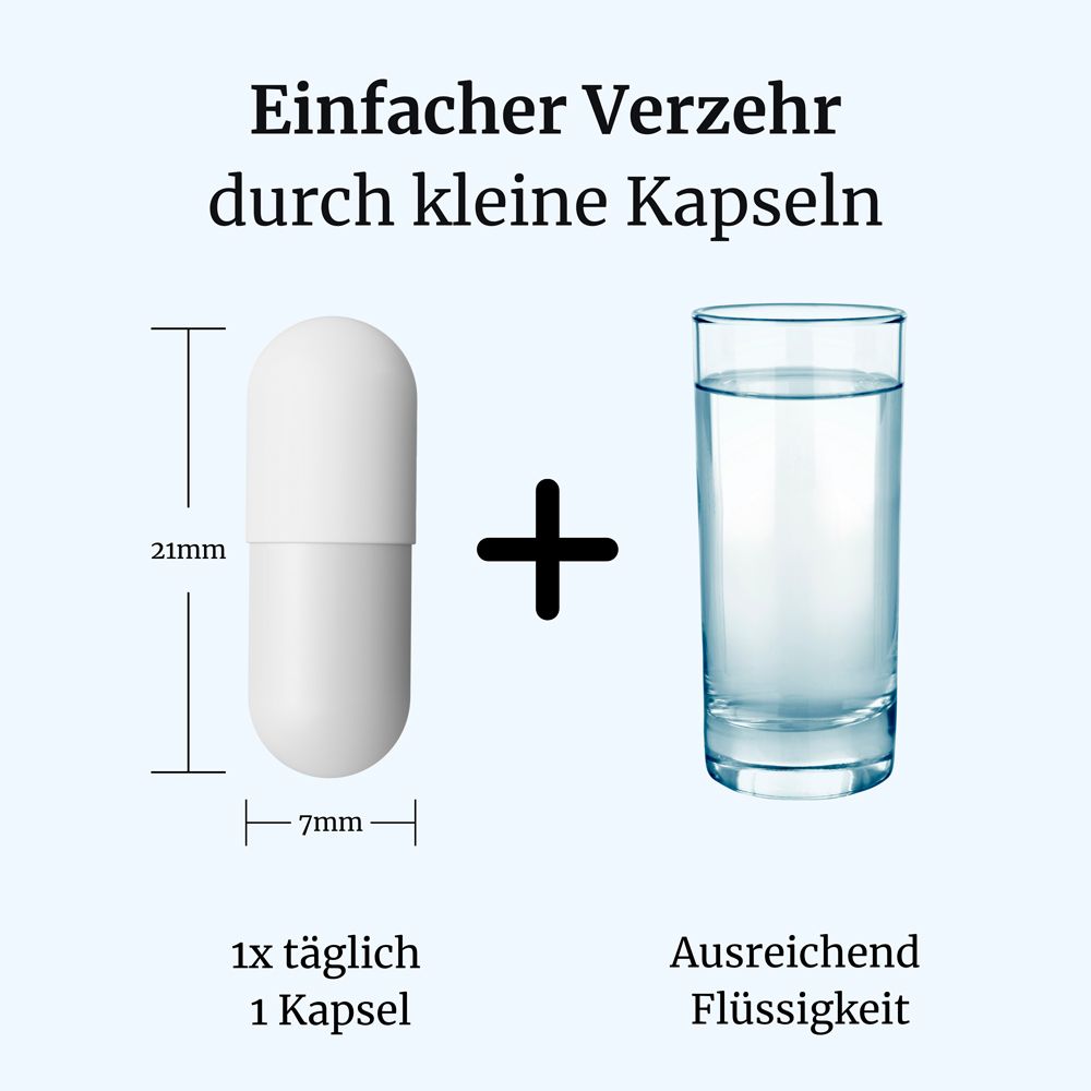 Eine Kapsel (21mm x 7mm) neben einem Glas Wasser, zur täglichen Einnahme von VertiVia mit ausreichend Flüssigkeit.