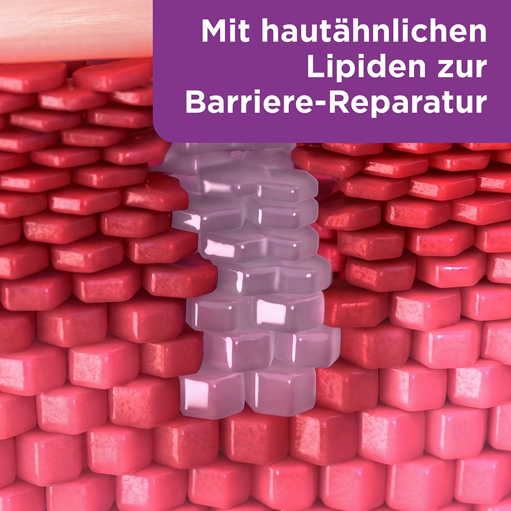 Illustration der Hautbarriere, die mit hautähnlichen Lipiden repariert wird.