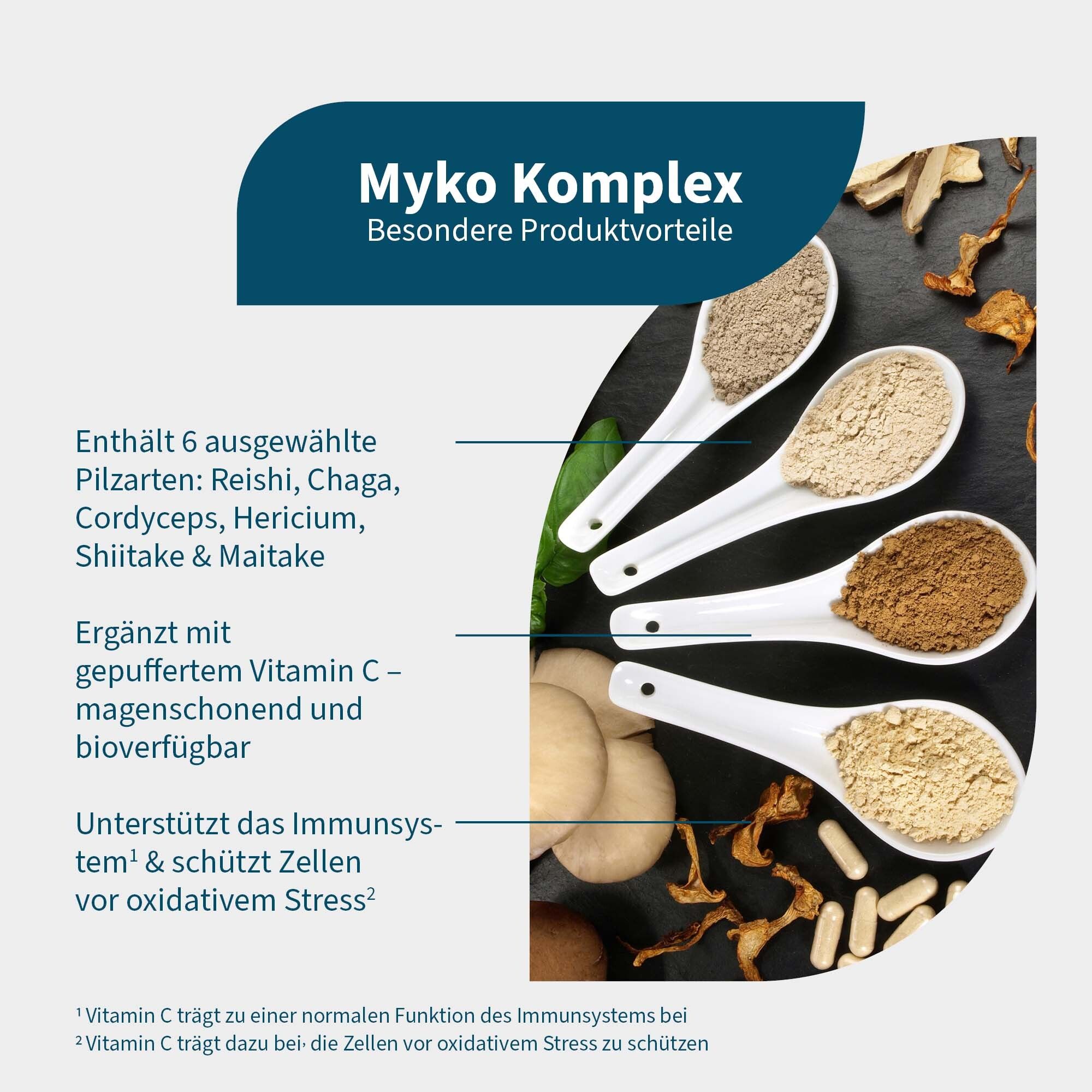 Grafik mit Löffeln gefüllt mit Pilzpulvern. Text: Myko Komplex, enthält 6 Pilzarten, Vitamin C. Unterstützt Immunsystem.