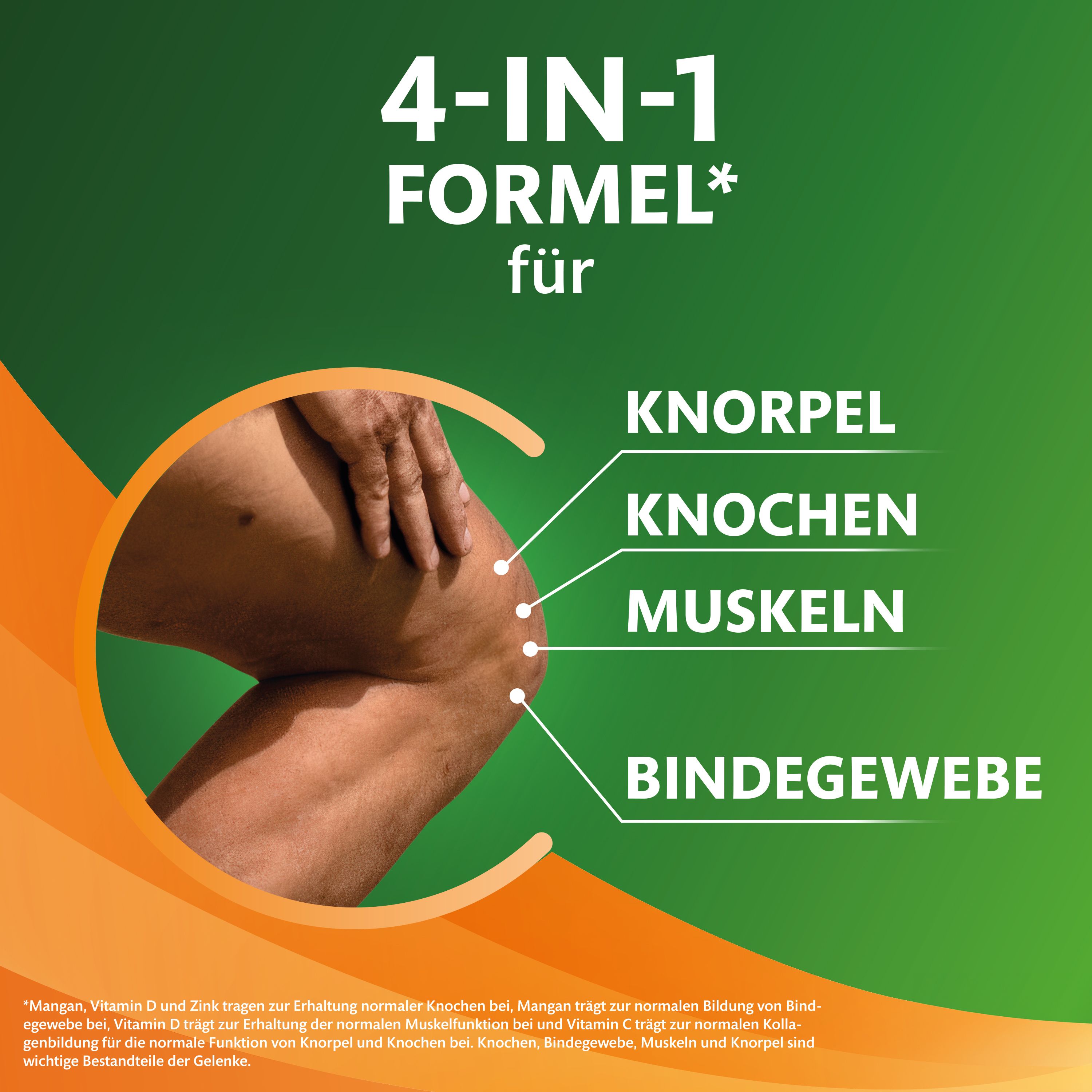 Grafik zeigt ein Kniegelenk und listet auf: Knorpel, Knochen, Muskeln, Bindegewebe.