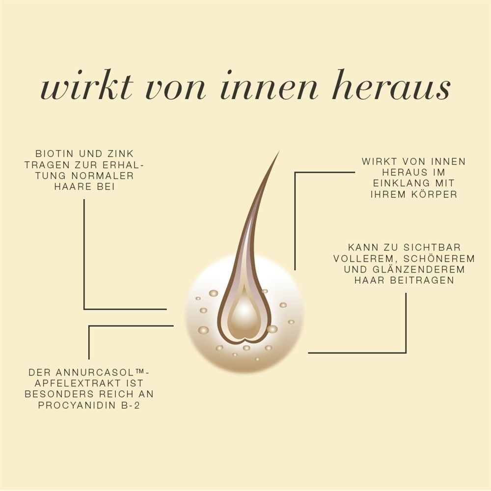 Grafik eines Haarsträhnen-Follikels mit Text über Biotin, Zink und Annurcasol.