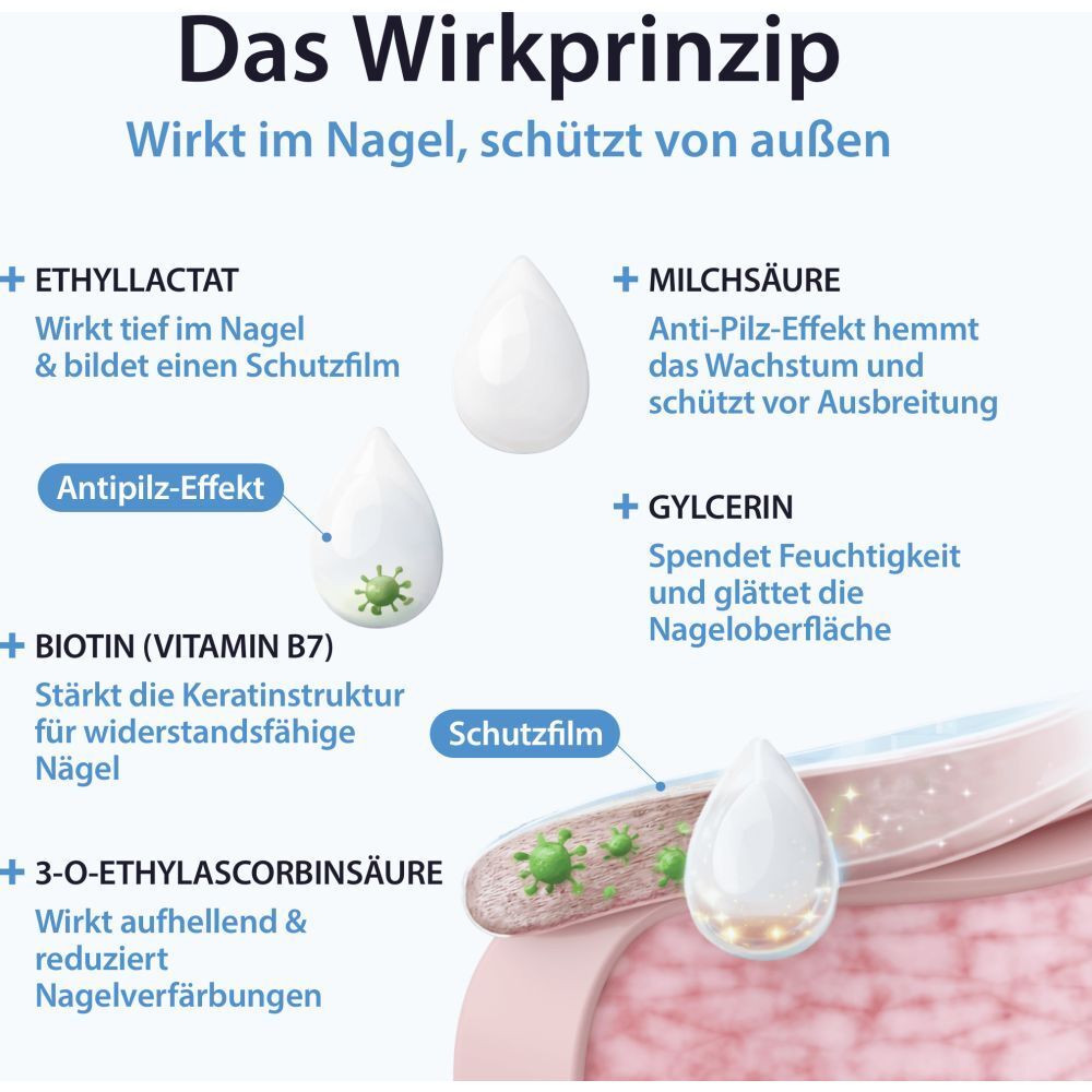 Schema der Wirkstoffe von Acetocaustin Nagelpilz Lösung: Ethyl lactat, Milchsäure, Biotin, Ascorbinsäure.