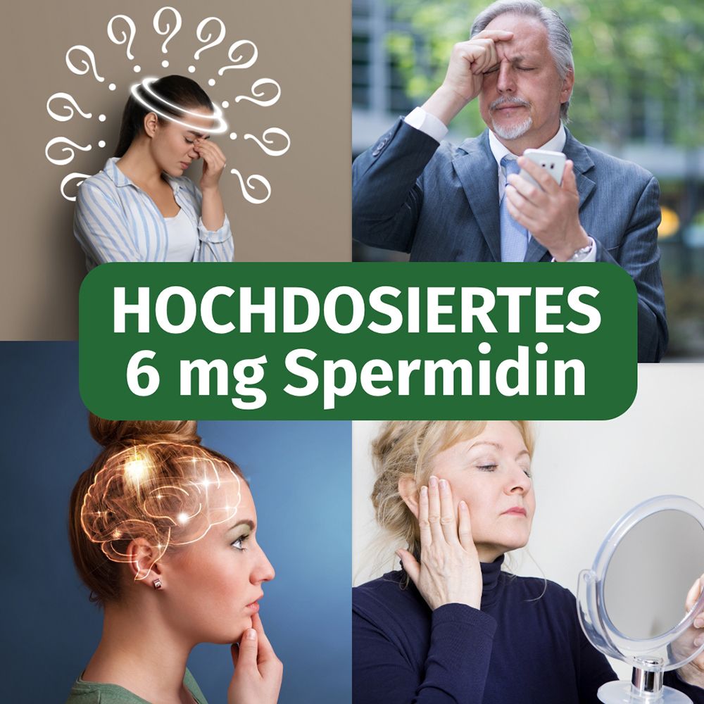 Collage: Kopfschmerzen, Mann mit Handy, Gehirn, Frau mit Spiegel. Text: Hochdosiertes 6 mg Spermidin.